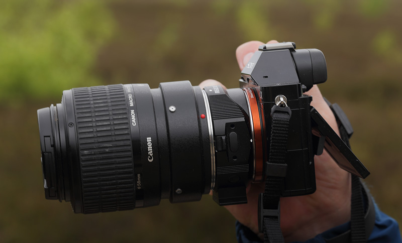Sony Alpha 7r med Metabone Canon EF lens to Sony NEX Smart Adapter (Mark IV) + Canon MP_E 65mm macro på Melby Overdrev d. 16 maj 2015. Fotograf; Lars Andersen