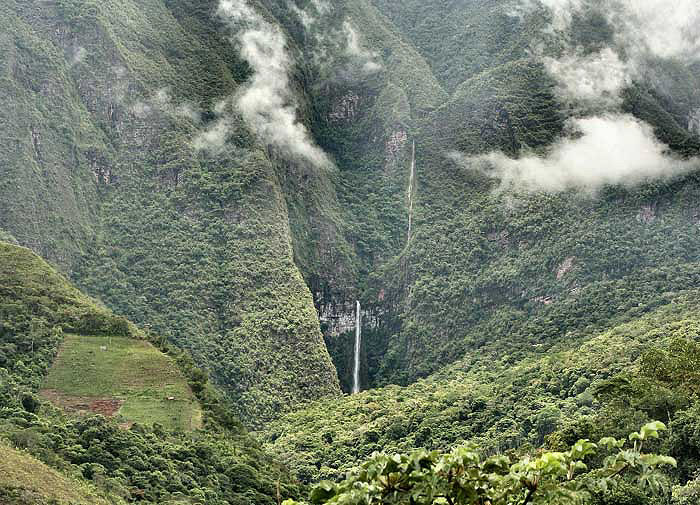 Tocana, Yungas, Bolivia d. 24 januar 2006. Fotograf: Lars Andersen