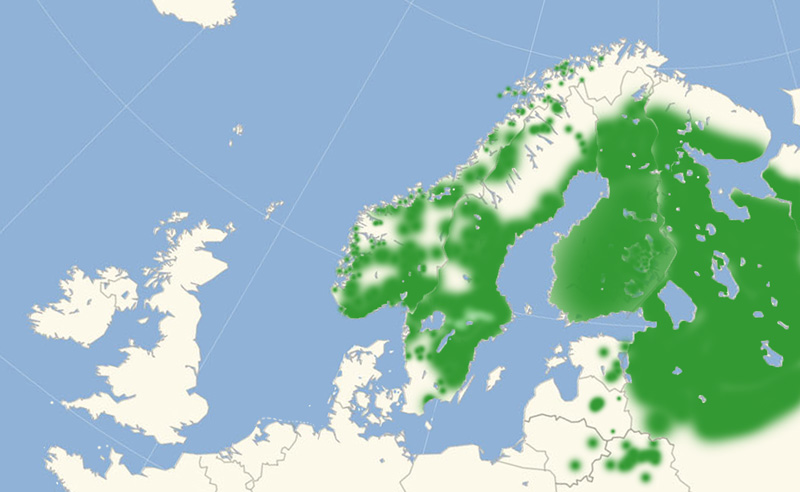 Skovbjergrandøje nordeuropæisk udbredelseskort lavet af Lars Andersen, april 2017.