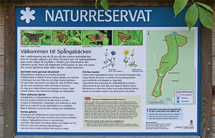 Naturreservat: Spångabäcken, Munkhyttan, Sverige d. 1 juli 2015. Fotograf;  Lars Andersen
