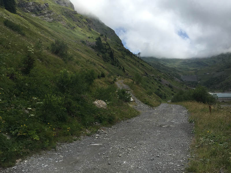 Avoriaz, Haut-Savoie, Frankrig, 1800m hjde d. 30 juli 2015. Fotograf; John Vergo