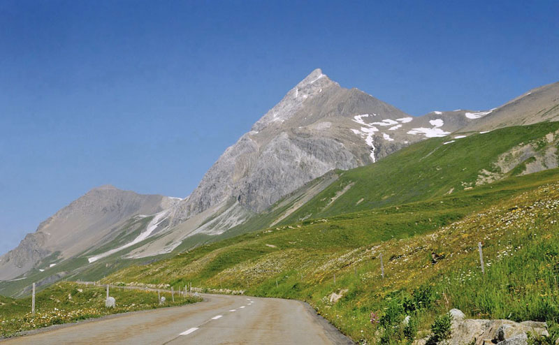 Lokalitet for Alpin Perlemorrandøje, Coenonympha gardetta. Albula Pas, Schweiz d. 7 juli 2015. Fotograf; Tom Nygaard Kristensen