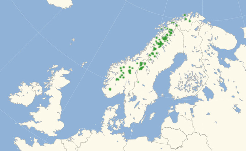 Fjeldperlemorsommerfugl Nordeuropæisk udbredelseskort lavet af Lars Andersen juli 2017.
