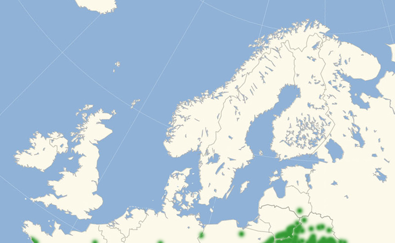 Rød Pletvinge  Nordeuropæisk udbredelse 2010-17. Kort lavet i september 2017 af Lars Andersen