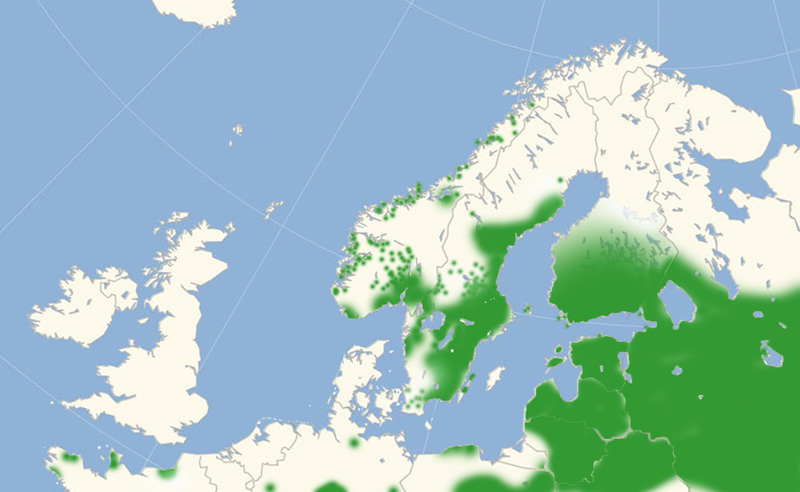 Skovvejrandøje Nordeuropæisk udbredelseskort lavet af Lars Andersen januar 2017