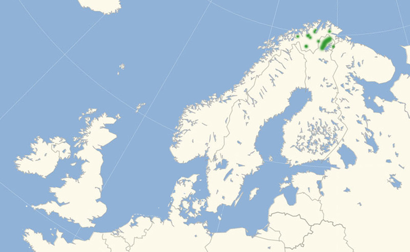 Polarbjergrandøje Nordeuropæisk udbredelseskort lavet af Lars Andersen oktober 2017