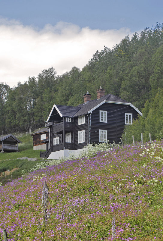 Lokalitet for Sortbrun Blåfugl. Håheim, Vats, Buskerud, Norge d. 16 juli 2017. Fotograf; Lars Andersen