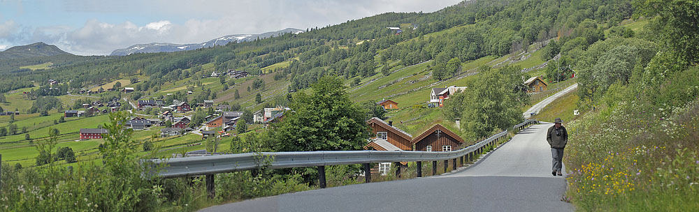 Lokalitet for Markperlemorsommerfugl. Håheim, Vats, Buskerud, Norge d. 16 juli 2017. Fotograf; Lars Andersen