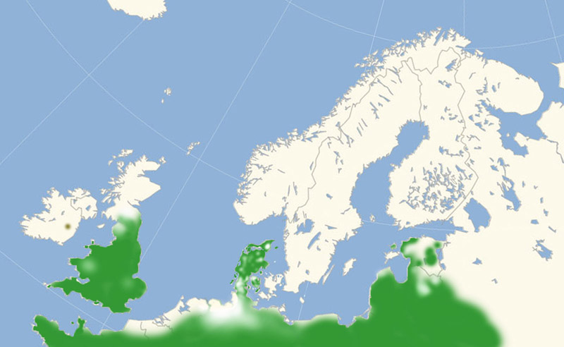 Skrstregbredpande udbredelse i Nordeuropa 2010-16. Kort lavet i november 2016 af Lars Andersen