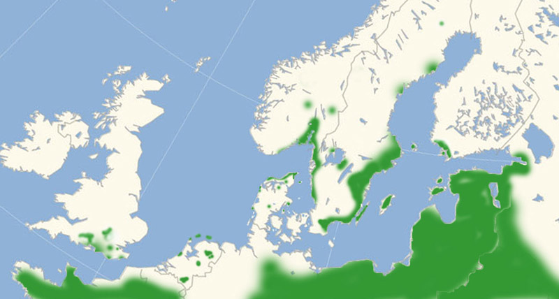 Kommabredpande udbredelse i Nordeuropa 2010-16. Kort lavet i november 2016 af Lars Andersen