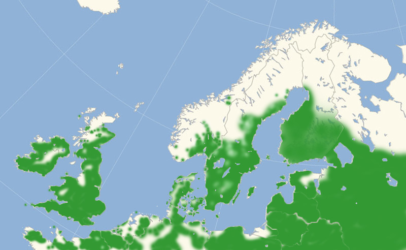 Engrandøje udbredelse i Nordeuropa 2010-17. Kort lavet i juni 2017 af Lars Andersen