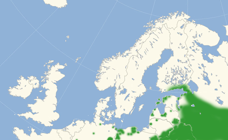 Lille Græsrandøje udbredelse i Nordeuropa 2010-17. Kort lavet i april 2017 af Lars Andersen