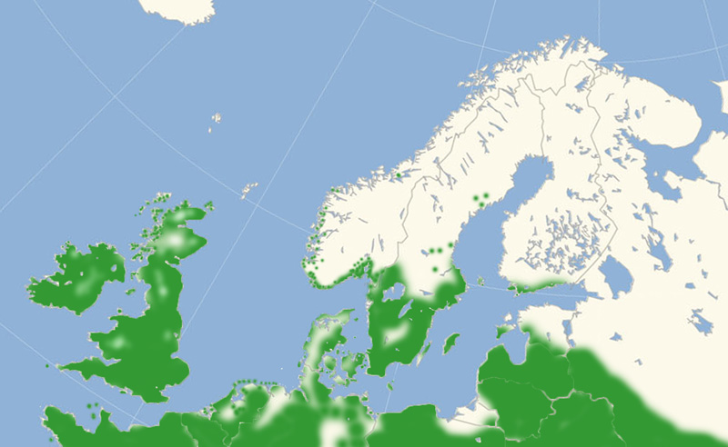 Grsrandje udbredelse i Nordeuropa 2010-17. Kort lavet i april 2017 af Lars Andersen