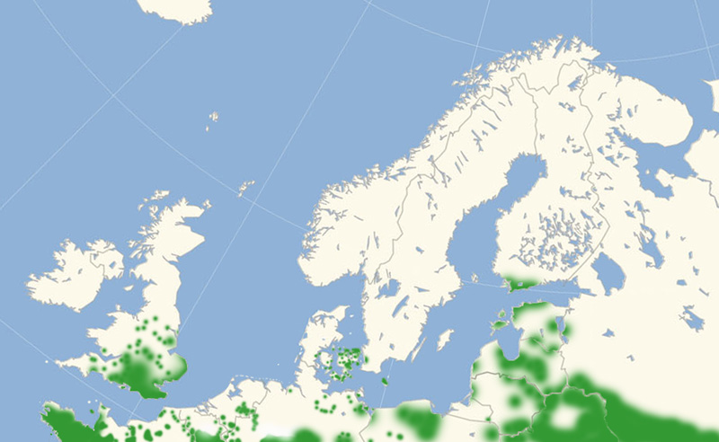 Hvid Admiral udbredelse i Nordeuropa 2010-17. Kort lavet i juli 2017 af Lars Andersen