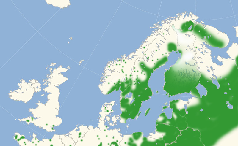 Brun Pletvinge  Nordeuropæisk udbredelse 2010-17. Kort lavet i september 2017 af Lars Andersen